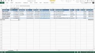 Microsoft Excel for Business Tutorial  Managing Customers Vendors and Employees  Part 1 [upl. by Patterman]