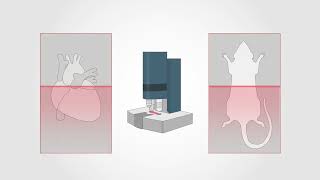 3D spatialomics technology to study complex diseases  Cell December 22 2023 Vol 185 Issue 26 [upl. by Eirb]