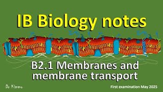 IB Biology Notes B21 Membranes and membrane transport  First examination May 2025 [upl. by Aimek]