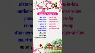 Irregular Plurals 04 EnglishGrammar wordTransformation englishlearning vocabulary [upl. by Katti658]