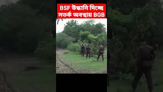 BSF vs BGB at India Bangladesh Border [upl. by Giovanna]