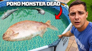 I Found The Pond Monster Dead [upl. by Adlai]