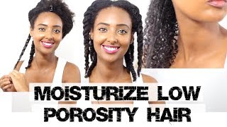 Best Hair Oils for Low Porosity Hair hairTips haircare lowporosityhair [upl. by Marchal]