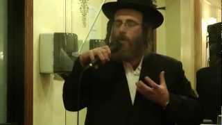 Isaac Honig Sings At Sheva Brachos [upl. by Trebled]