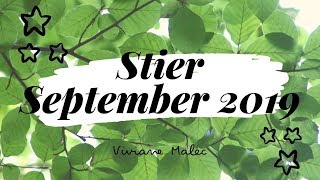 STIER September 2019  Da ist eine Chance [upl. by Aicenek]