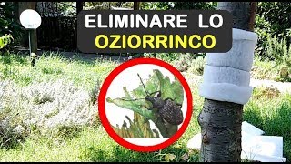 ELIMINARE LOZIORRINCO [upl. by Noiztneb889]