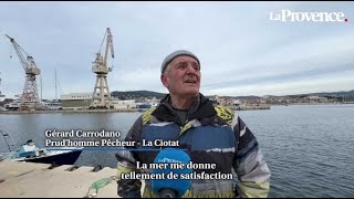 À La Ciotat les barracudas reviennent en masse [upl. by Ibrad]