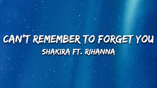 Shakira  Cant Remember to Forget You Lyrics ft Rihanna [upl. by Dituri]