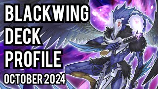 TOP 4 Blackwing Deck Profile OCTOBER 2024 [upl. by Down]