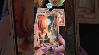 Lo Imprevisto Tarot Egipcio Los Arcanos del Nilo egipto tarot oraculo bruja tarotista [upl. by Nomelc]