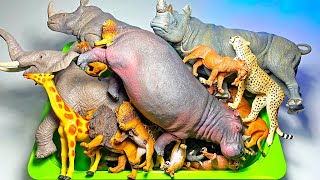 African Animals Figurines Collection  Lion Elephant Rhinoceros Cheetah Okapi Gorilla Hyena [upl. by Ecarg915]