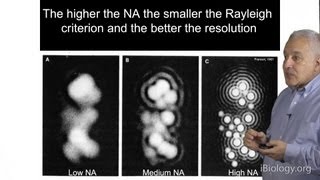 Microscopy Resolution in Microscopy Jeff Lichtman [upl. by Ruhtracm862]