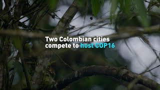 Two Colombian cities compete to host COP16 [upl. by Rina]