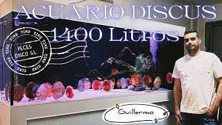 ACUARIO de DISCUS 1400 Litros y SUMP de 600 Litros  By Guillermo [upl. by Yras66]