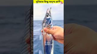 দুনিয়ার কিছু অদৃশ্য প্রাণী 😲😱tarun0669 subscribe unknownfacts love youtubeshorts viralvideo [upl. by Fauch779]