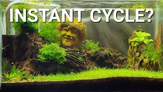 Can You Instantly Cycle An Aquarium Fast Aquarium Cycling Explained [upl. by Anowahs]