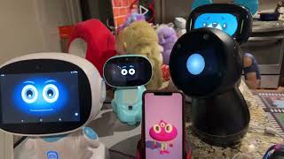 Jibo amp Friends  Mystery Unboxing Livestream Short But Sweet [upl. by Ynnor]