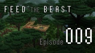 Minecraft Feed the Beast E009  Avidya  Coestar [upl. by Chapel]