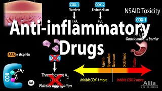 Antiinflammatory NSAIDs Drugs Pharmacology Animation [upl. by Eivets527]