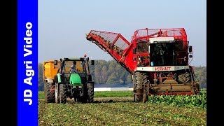 Bieten Oogst  Vervaet Beet Eater 625  Breure Swifterband  Rübenernte  Beet Harvest  Fendt [upl. by Quitt]