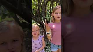 🤪😂 funny kidssong [upl. by Elacim170]