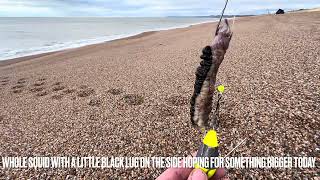 Chesil Beach Sea Fishing 2023 West Bexington 21112023 4k [upl. by Dann16]