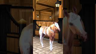 SSO  Lamas with hats starstable ssoedits ssoedit lamaswithhats memes funny [upl. by Hadwyn]