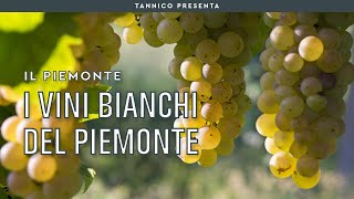 Il vino bianco piemontese e i suoi vitigni dal Moscato allErbaluce  Tannico Flying School [upl. by Aylat436]