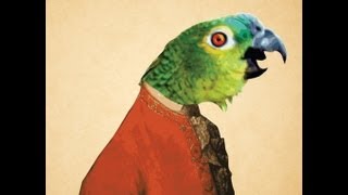 Parrot singing opera original video [upl. by Acnoib]