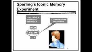 Sensory Memory  VCE Unit 3 Psychology [upl. by Lubbock]