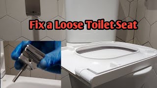 How to fix a loose toilet seat [upl. by Auberbach]