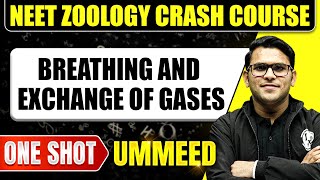 BREATHING AND EXCHANGE OF GASES in 1 Shot All Concepts Tricks amp PYQs  NEET Crash Course  UMMEED [upl. by Anerehs145]