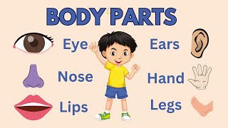 Body Parts Name with Spellings Parts of Body Learn Body Parts Body Parts Name for kids👦 english [upl. by Sergeant]