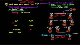 Pentose Phosphate Pathway Part 3 of 5  Control and Regulation Details [upl. by Rabush]