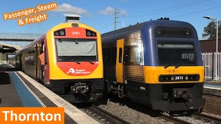 Trains at Thornton Passenger Steam amp Freight Trains  NSW Transport [upl. by Anom]