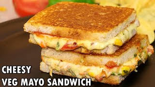 Veg Cheese Mayonnaise Sandwich on Tawa  Easy amp Quick Sandwich  Kanaks Kitchen [upl. by Eciruam829]