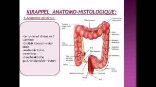 GASTROENTEROLOGIE Physiologie et Exploration Fonctionnelle du Colon 2015 [upl. by Arliene]