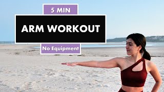 5 min Arm Workout  Sitting Arm Workout  No Equipment [upl. by Vasyuta]