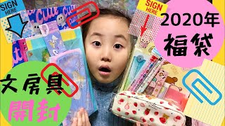 【福袋】可愛い♡文房具1000円福袋を2つ開封❗️ロフト、ファンシーショップ [upl. by Ahteres]