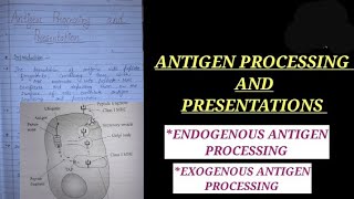 ANTIGEN PROCESSING AND PRESENTATIONS IN HINDI exogenousantigenpathway ZOOLOGYNOTES zoology vbu [upl. by Flip793]