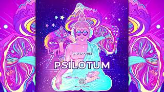 Psilotum  Acid Diaries Full Album [upl. by Rowell468]