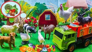 Dierengeluiden voor baby  boerderijdieren geluiden spel  dieren voor peuters [upl. by Kenlay771]