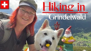 The Best Grindelwald Hikes With Your Furry Friend [upl. by Anehta]