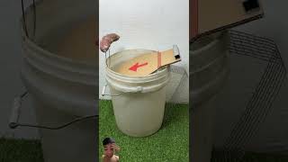 The most perfect homemade mouse trap idea using a plastic bucket mousetrap shorts [upl. by Cattier]