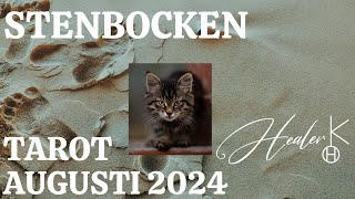 Stenbocken ♑️ Augusti 2024 Tarot  Healer K [upl. by Tirb]