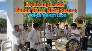 LA INCOMPARABLE BANDA TIERRA HIDALGUENSE [upl. by Ras678]