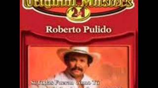 Roberto Pulido  La Ronera [upl. by Dlabihcra504]