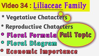 Liliaceae Family  Lily Family  Floral Formula Floral Diagram  Vegetative amp Floral Characters [upl. by Kaela417]