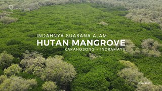 Indahnya Suasana Alam Hutan Mangrove Pantai Karangsong Indramayu [upl. by Peppard939]