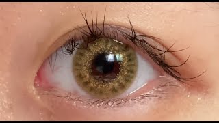 렌즈미 메이크룩 지니브 브라운 보정 없는 솔직 리뷰  LENSME MAKELOOK ZINNIVE BROWN Color Contact Lens Review [upl. by Yuk599]